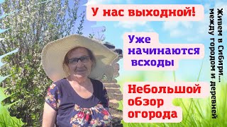 У нас выходной. Уже начинают всходить наши посевы.. Долгожданный полив