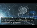 unlocking the mind revealing the neural pathways of consciousness neuroscience news