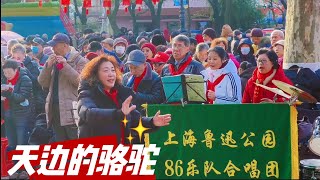 中国歌曲 | 天边的骆驼：驼铃叮咚响给人们带来好生活 #中国歌曲 #天边的骆驼 #上海鲁迅公园 #韩金红