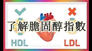 總膽固醇的數字正常真的代表各樣正常嗎！（親身經歷）