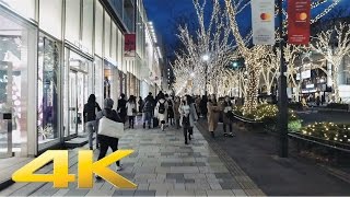 The Christmas lights in Omotesando Harajuku, Tokyo  - Long Take【東京・表参道イルミネーション】 4K