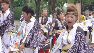 月光◎朝陽　よさこい滑川 in ふるさと龍宮まつり２０１６