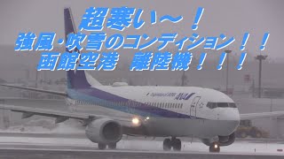 【超寒～い！強風と吹雪の】函館空港