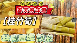 季節限定＃油水殺青 【＃桂竹筍】煮法有訣竅｜剝殼 春天的美味＃桂竹筍梅菜排骨湯  ｜必學超美味