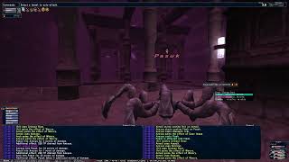 HorizonXI ENM Test Your Mite (RDM POV)