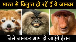 भारत के लुप्तप्राय जानवरों का अंत || The end of India's endangered animals