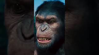 Rise of The Planet of Apes 2011 Movie Scene