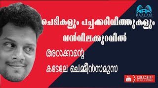 LOCKDOWN TRAVELING///പച്ചക്കറിവിത്തുകള്‍ പകുതിവിലക്ക്