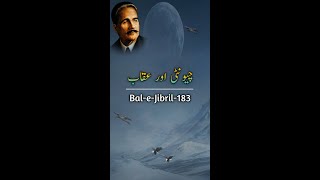 Bal-e-Jibril-183 | Chionti Aur Auqab | Allama Iqbal poetry | Iqbaliyat | shorts video | SariBat