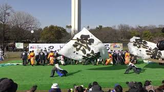 【4K】大阪大学お祭りダンスサークル祭楽人(第12回堺よさこいかえる祭り/大仙公園会場)