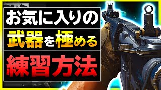 【COD MW 初心者講座】お気に入りの武器を極める基本的な手順と練習方法【ぐっぴー / Rush Gaming 】