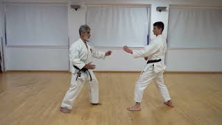 JIYU IPPON KUMITE USHIRO-GERI    1-3