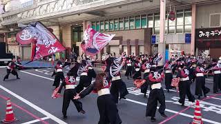 ぶち楽市民祭にて長州南蛮連さん演舞です☺️