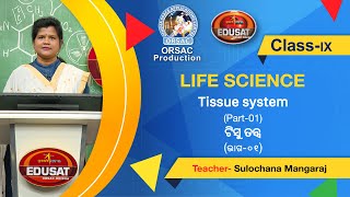 ଟିସୁ ତନ୍ତ୍ର ସ୍ଥାୟୀ ଟିସୁର ଶ୍ରେଣୀ ବିଭାଗ || ଭାଗ - ୦୧ || Life Science || Class - IX