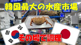 【韓国の名所】韓国最大の水産市場ノリャンジン水産市場！買った食材をその場で食す！