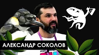 Александр Соколов: про АНТРОПОГЕНЕЗ РУ, премию ВРАЛ и суд с Натальей Зубаревой | SciView