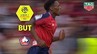 But Lebo MOTHIBA (45') / LOSC - Stade Rennais FC (3-1)  (LOSC-SRFC) / 2018-19