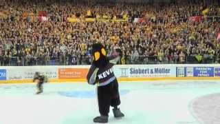 Die KEVin Story - Das Maskottchen der Krefeld Pinguine in der Deutschen Eishockey Liga