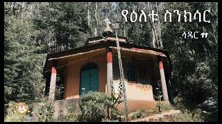 የዕለቱ ስንክሳር | Samuel Asres | ሳሙኤል አስረስ |Ethiopia Orthodox Tewahido| November 20 ,2024