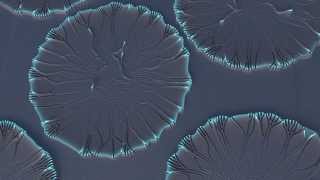 High Resolution Reaction-Diffusion Displacement