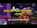 Sochenge Tumhe Pyaar Kare Ke Nahi (Slowed+Reverb) Unplugged Faizy Bunty | Reverbae|