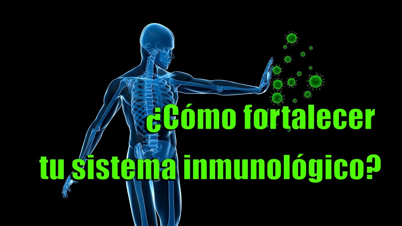 ¿Cómo Fortalecer Tu Sistema Inmunológico? - YouTube