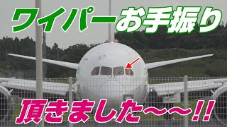 【4K】成田空港 十余三東雲の丘 ZIPAIRパイロットさんワイパーでお手振り頂きました～～!!