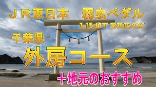 ＪＲ東日本 弱虫ペダル サイクルラリー ⑤外房コース+地元のおすすめ【ロードバイク】