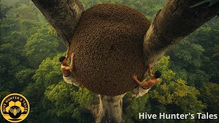 Legends of the Forest – The Ancient Skill of Wild Honey Hunters