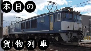 【本日の貨物列車】No.309　2021,5,22　第2095番列車　Today‘s freight train　EF64広島更新色！