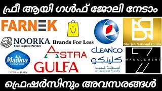 ദുബായിൽ ഫ്രീ ആയി ജോലി നേടാം | FRESHERS DUBAI JOBS MALAYALAM | GULF UAE JOBS MALAYALAM