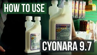 How to use Cyonara 9.7 Insecticide for Ants and Roaches