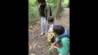 子どもの問題解決力を上げる大人のサポート法　#shorts#子ども#親の関わり方