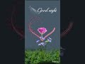 good night romantic roses flower status💕🥰#goodnight#goodnightstatus#rose#shorts#ytshorts#viral