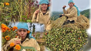 Mayam eikhoi gi phou lou yeiba gi amuk yeng min na se