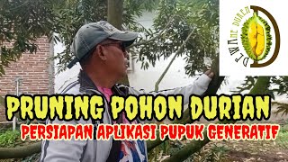 PRUNING POHON DURIAN, PERSIAPAN APLIKASI PUPUK GENERATIF