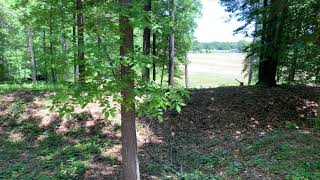 Cold Harbor - Confederate Trenches