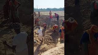 मनरेगा मजदूर। Mnrega worker #mnrega #short #youtubeshorts #shortvideo #grssantosh