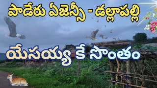 పాడేరు ఏజన్సీ -డల్లాపల్లి ఆదివాసీ ప్రజల ఆనందం(Mission 4 Vision in Dallapalli village)