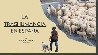 La Trashumancia en España