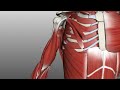 muscles of the upper arm anatomy tutorial