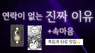 그사람이 연락 안하는 진짜이유(소름주의🥶)  #속마음타로 #연락운 #재회운