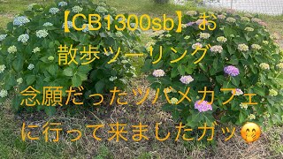 【CB1300sb】お散歩ツーリング 念願だったツバメカフェに行って来ましたガッ🤣 #cb1300sb #滋賀県蒲生郡日野町 #お散歩ツーリング #ツバメカフェ