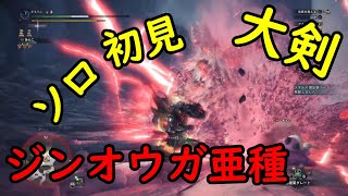 【ソロ！大剣！初見攻略】ジンオウガ亜種【ＭＨＷ：ＩＢ】