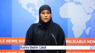 WARARKA SOMALI CABLE TV IYO Bushra Bashiir Cabdi 19 01 2025