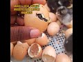 LWAAKI TULAMBA AMAGGI. .YE OWAAYE..CLEAR BYEBIKI..UN HATCHED NABYOO BITEGEEZAKI??...YITA MUNNO