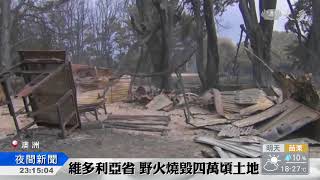 澳洲雷劈樹林起火 強風助燃釀災