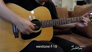 Westone F 18 Sound Review