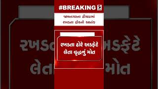 Jamnagar Stray Cattle | જામનગરના ઢીચડામાં રખડતા ઢોરનો આતંક | Cow | Traffic Issue | Gujarati News