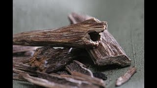 Health Benefits of Agarwood